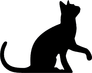 Kitty